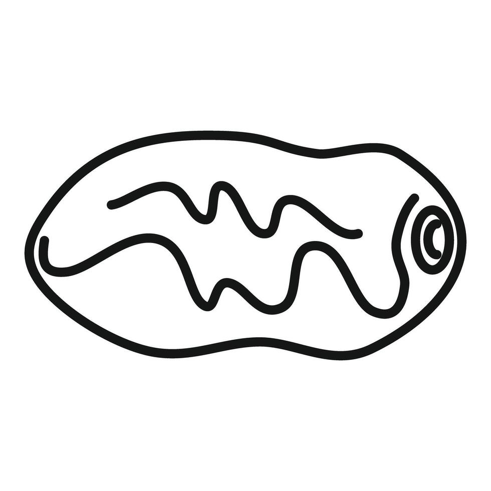 Dried dates fruit drawing showing wrinkled texture vector