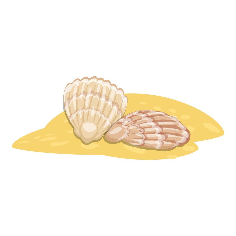 Beautiful seashells lying on the sand on a sunny beach vector