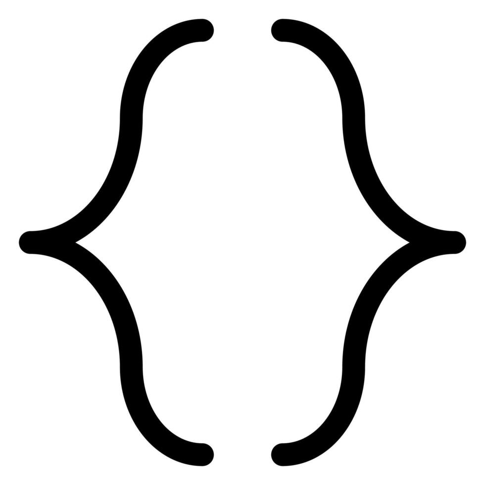 brackets glyph icon isolated on white background vector