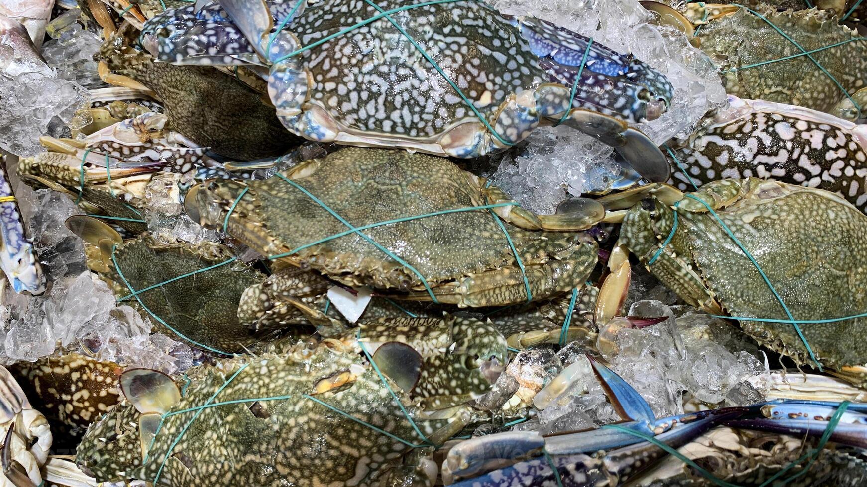 Top view of fresh crabs display in market. Seafood concept. photo
