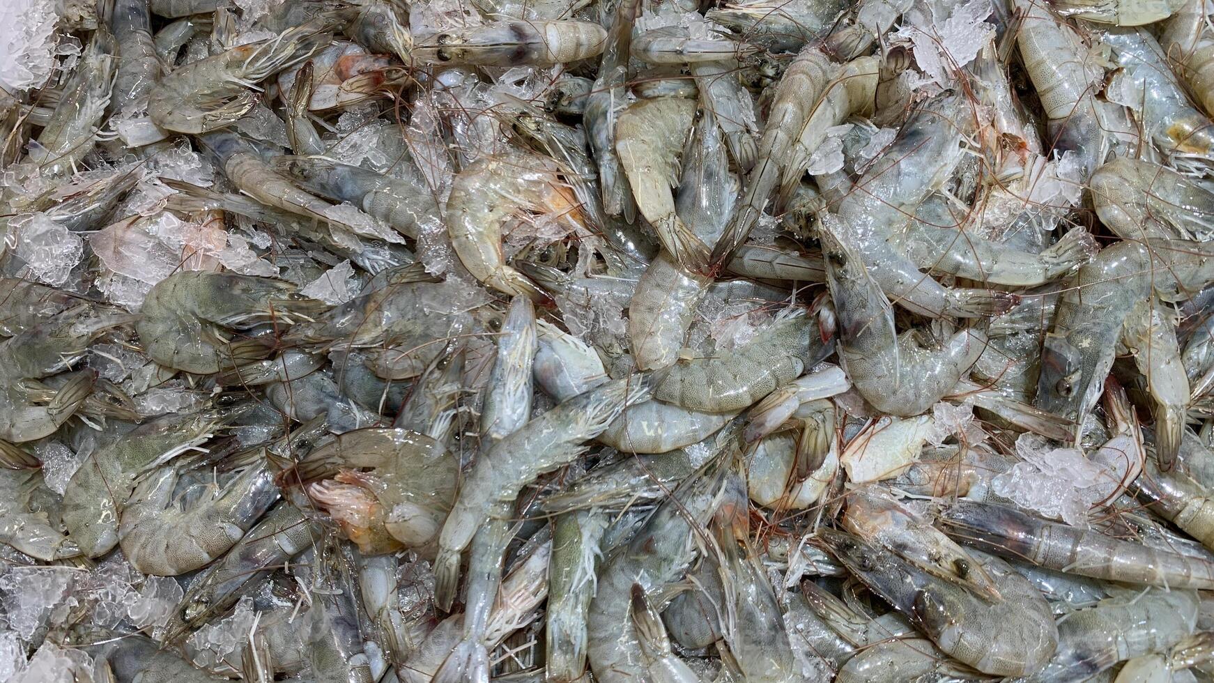 Top view of fresh prawn display in wet market. Seafood concept. photo