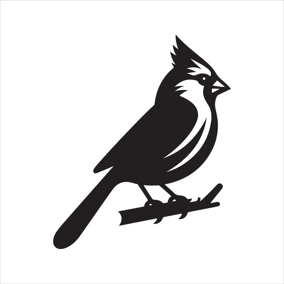 cardinal silhouette illustration vector