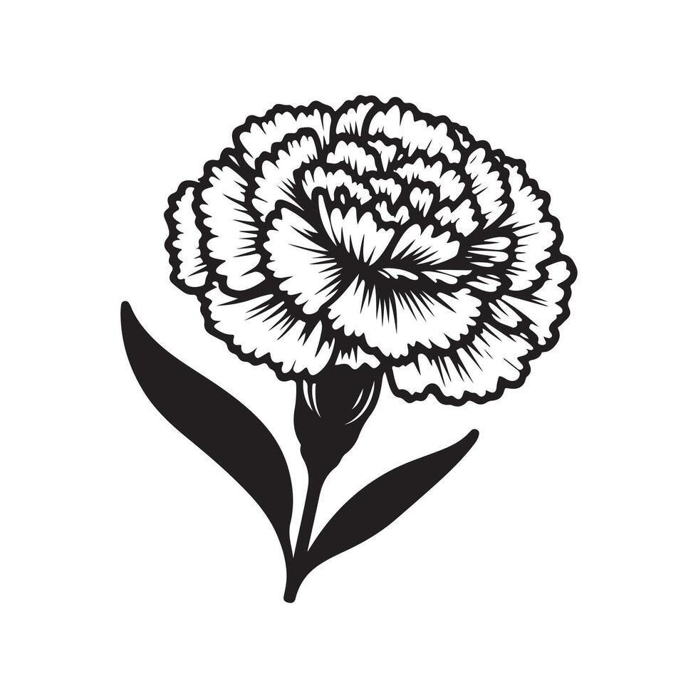 line art of a carnation vector