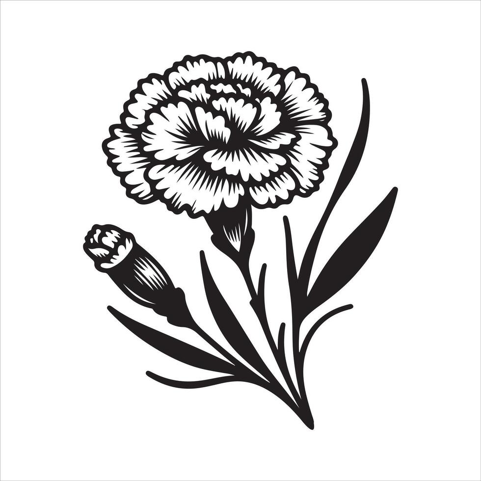 line art of a carnation vector