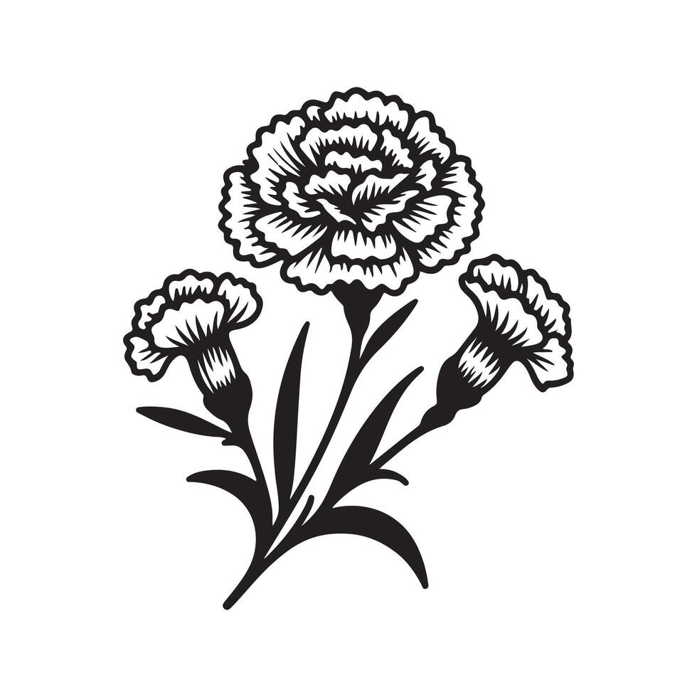 line art of a carnation vector