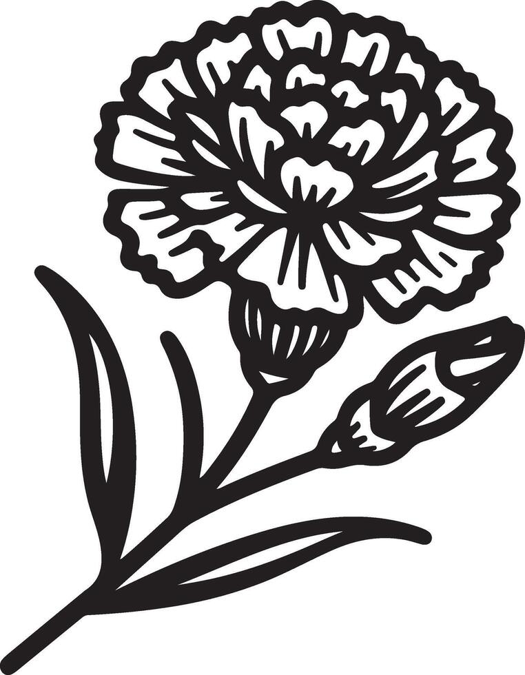 line art of a carnation vector