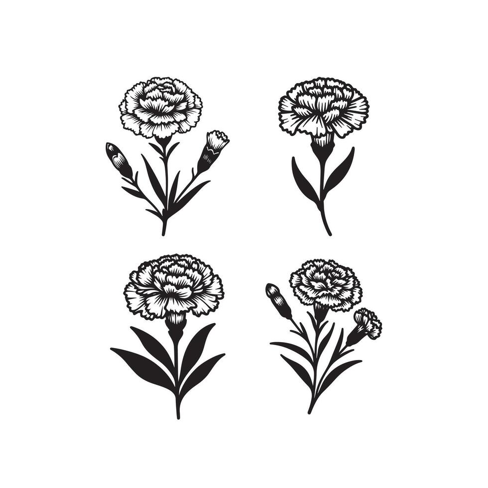 line art of a carnation vector