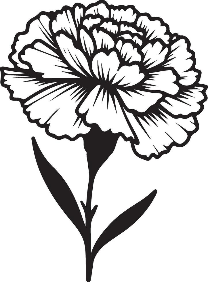line art of a carnation vector