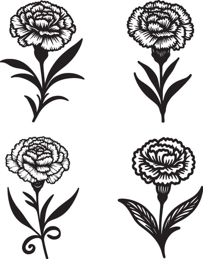 line art of a carnation vector