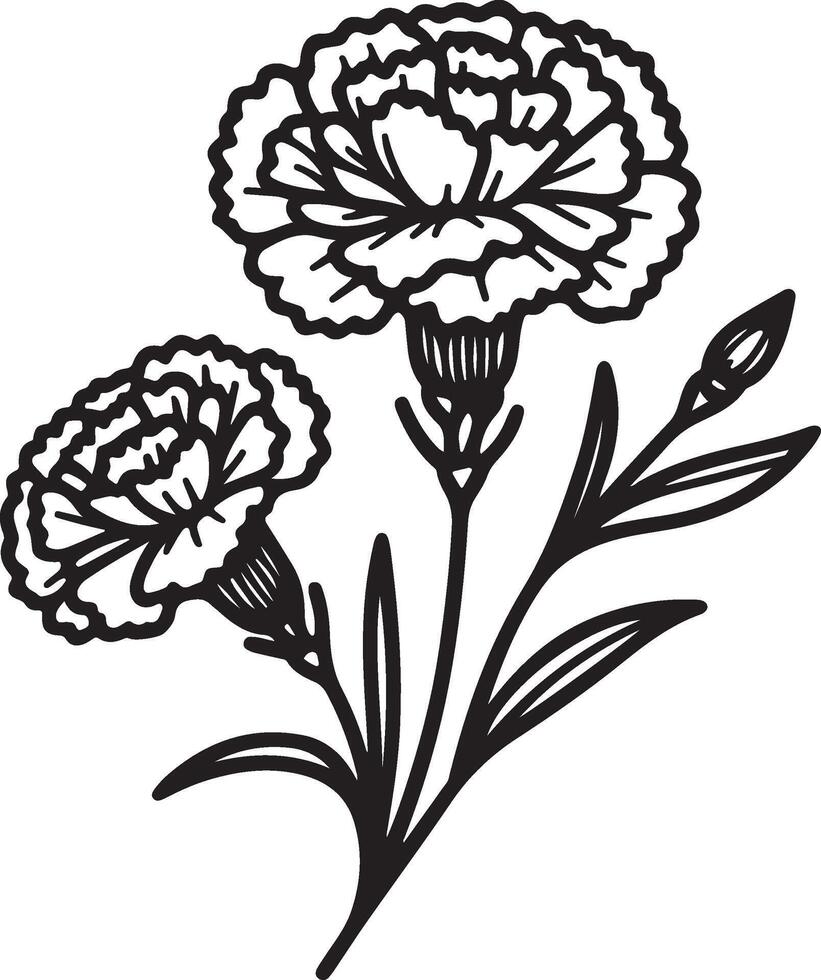 line art of a carnation vector