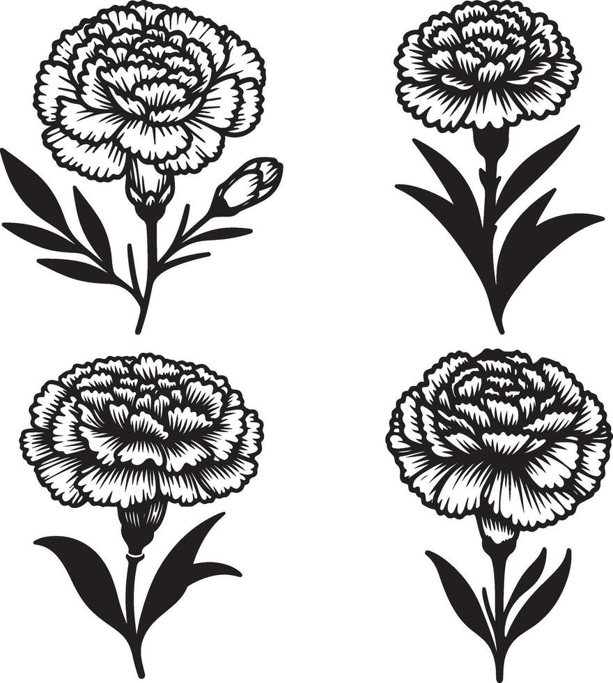 line art of a carnation vector