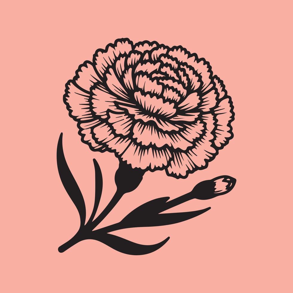 line art of a carnation vector