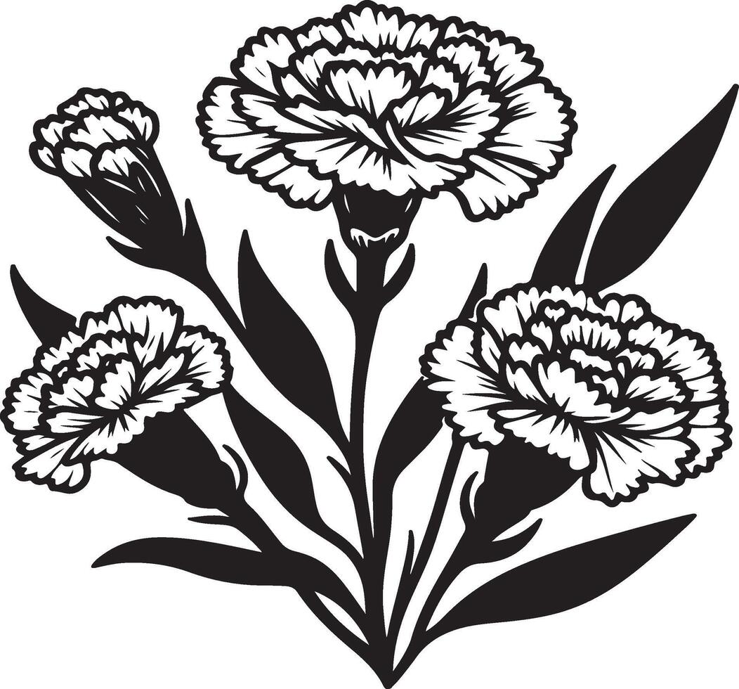 line art of a carnation vector