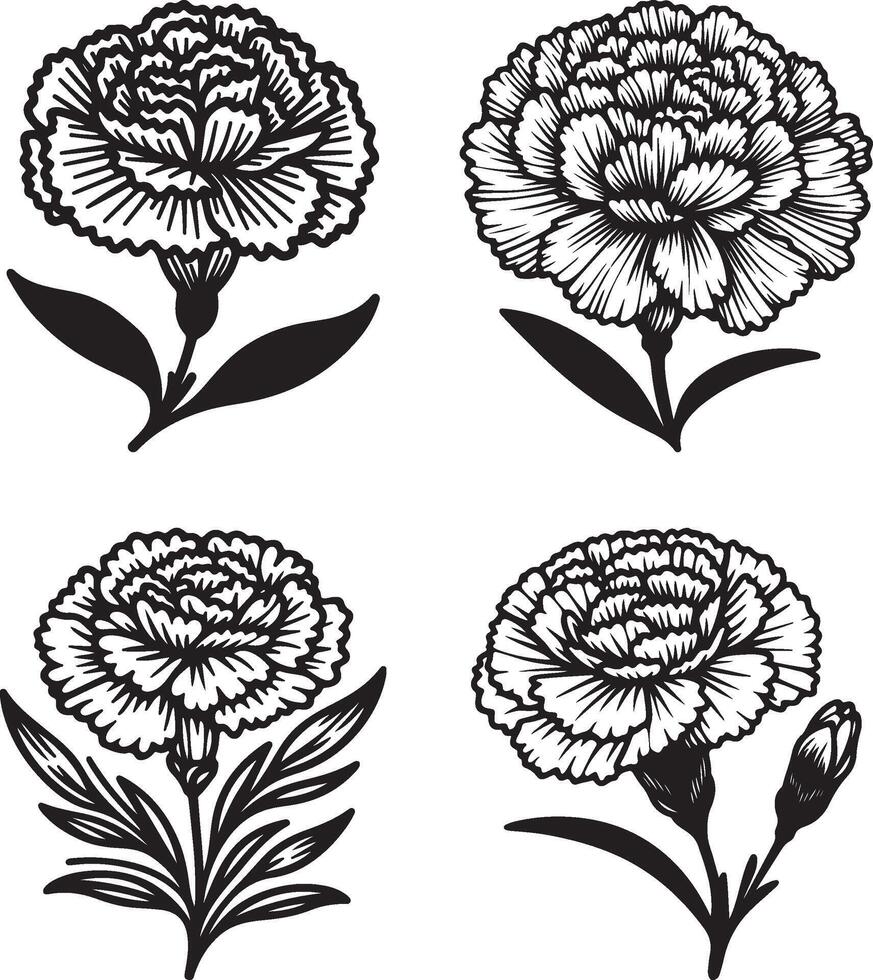 line art of a carnation vector