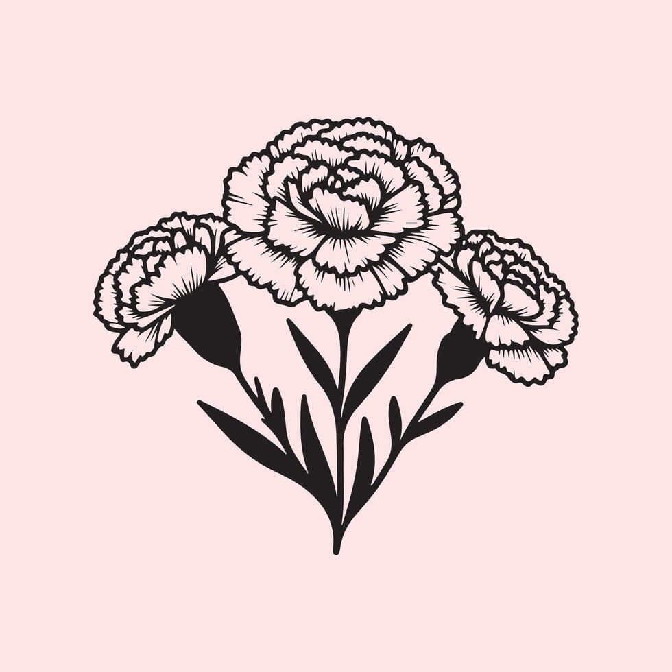 line art of a carnation vector