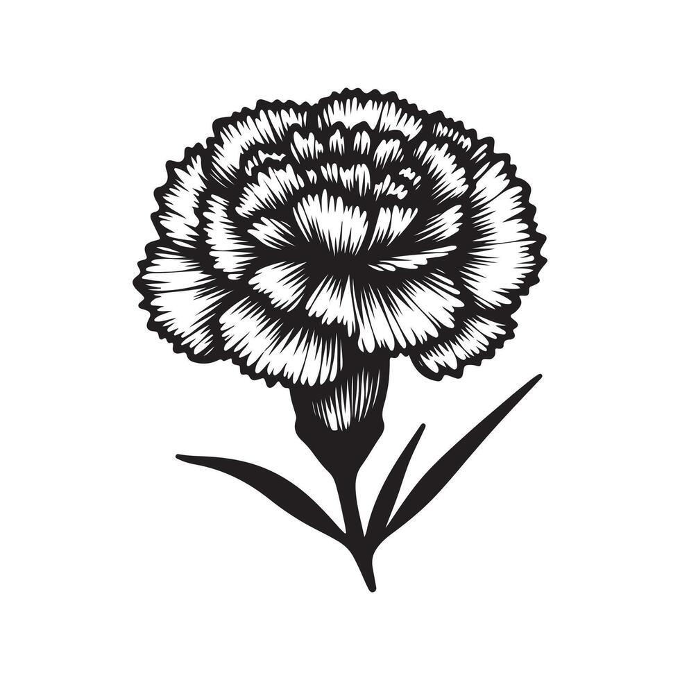 line art of a carnation vector