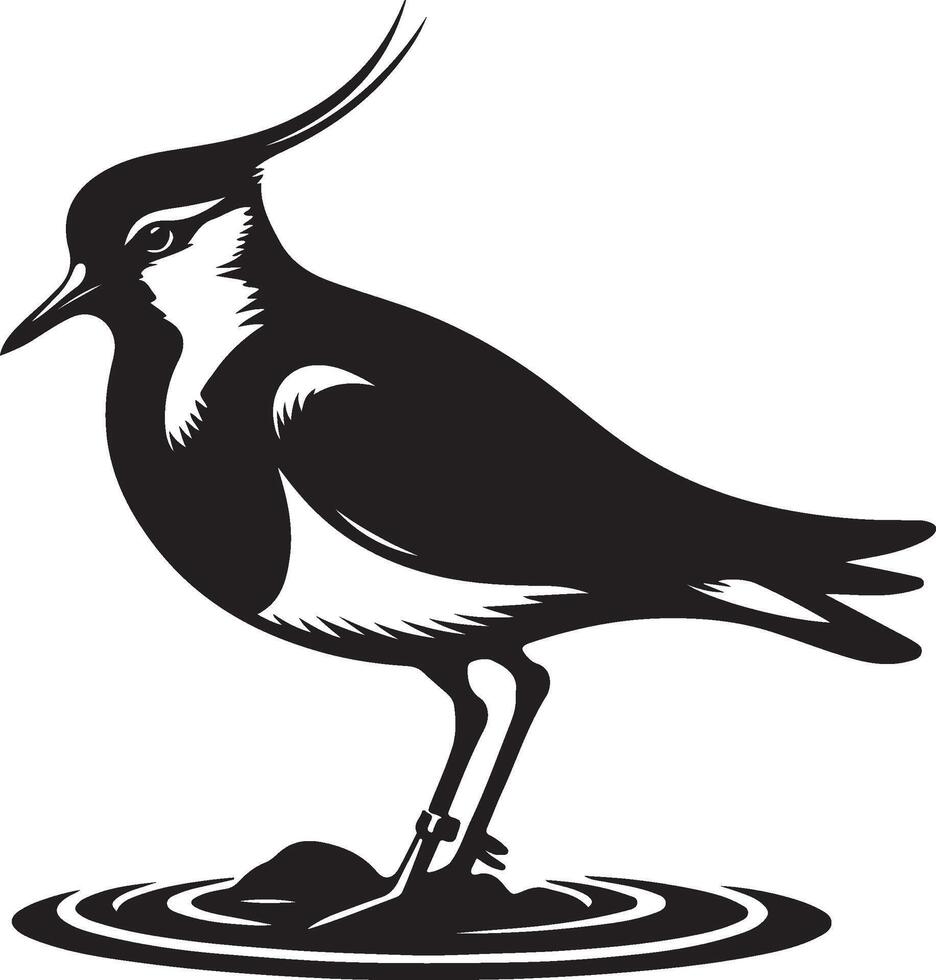 Lapwing Silhouette illustration vector