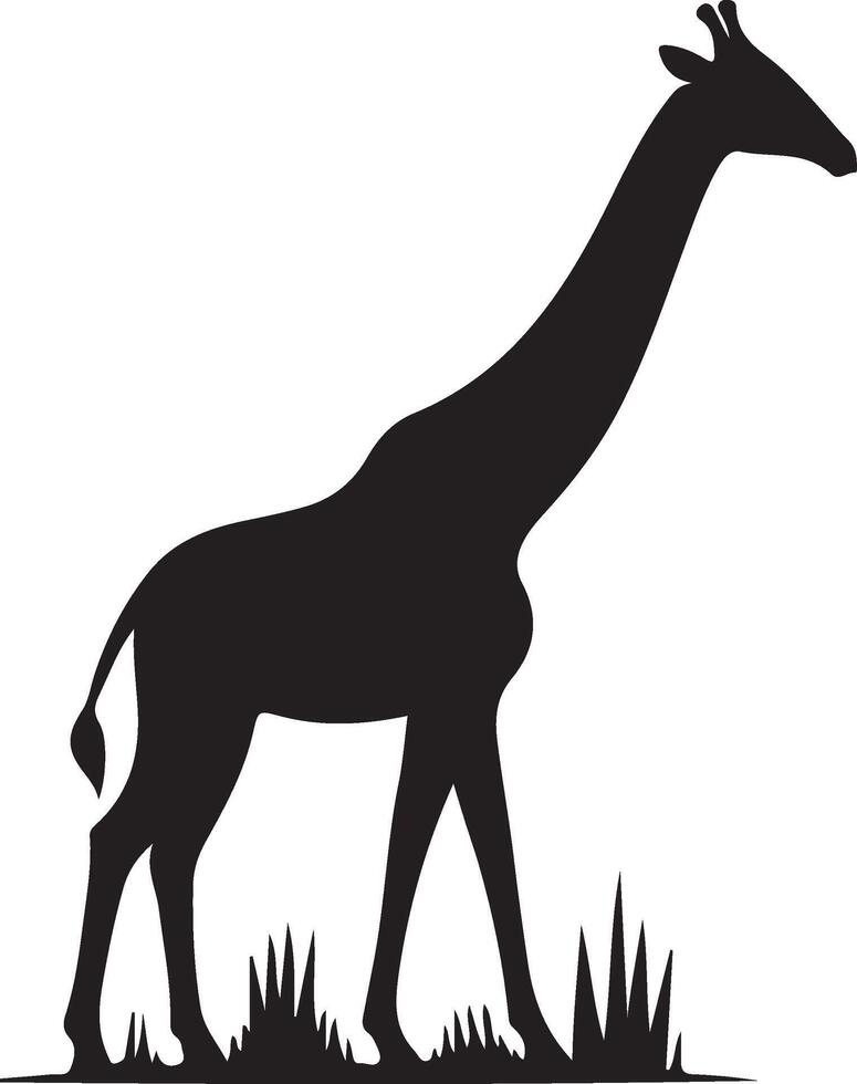 giraffe art Illustration vector