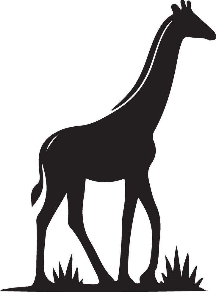 giraffe art Illustration vector