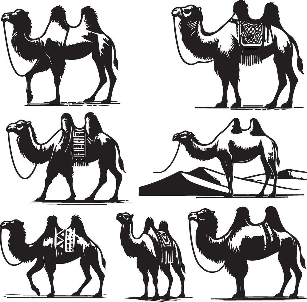 camel bundle illustration vector