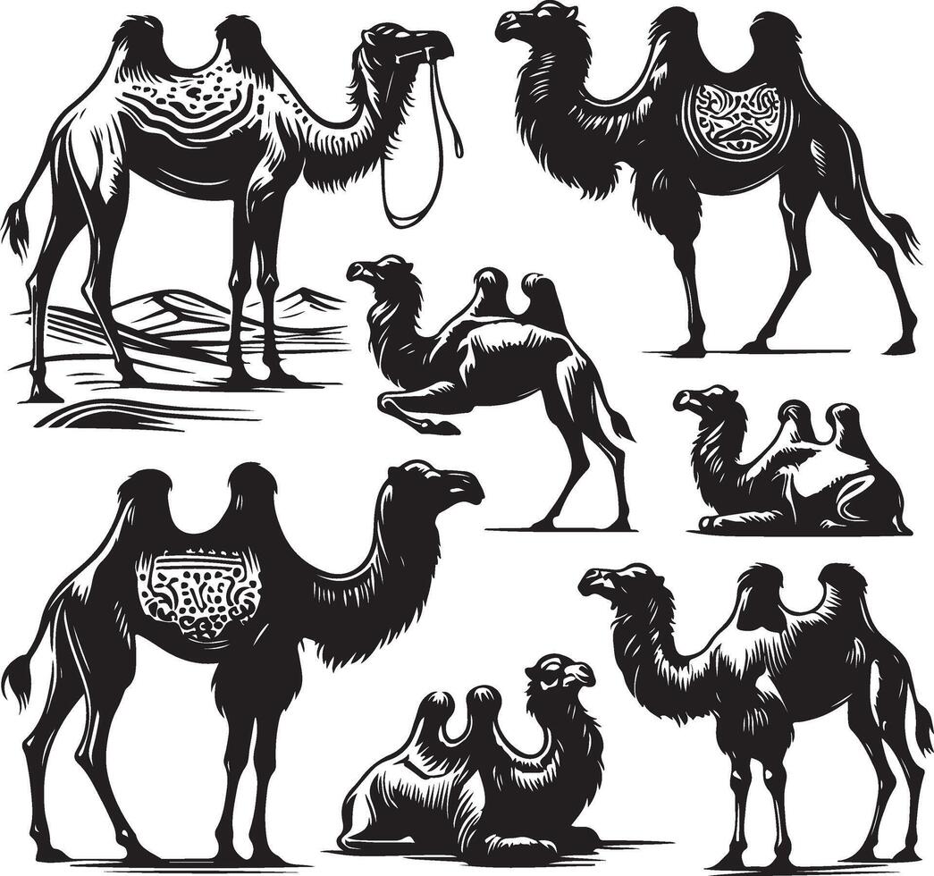 camel bundle illustration vector