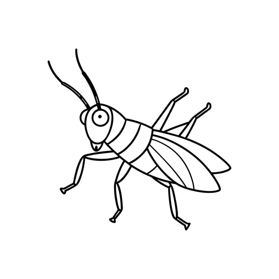 cartoon grasshopper isolated on Line art vector