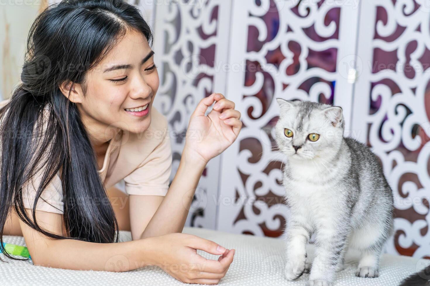 Asian young woman play with the fur little cat with happiness at home. Beautiful female sit on bed, spend leisure time stroking grey kitten close-up, Little best friends. Happy domestic animals photo