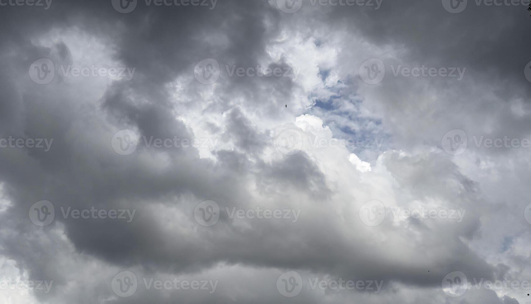 Beautiful form of cumulonimbus clouds blue sky cloud gradient light white background. Beauty clear cloud photo