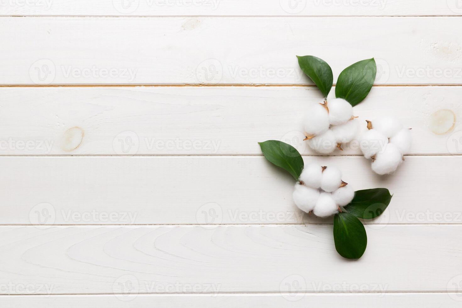 Autumn Floral Flat lay background composition. Dried white fluffy cotton flower branchwith green leaf top view on colored table with copy space photo