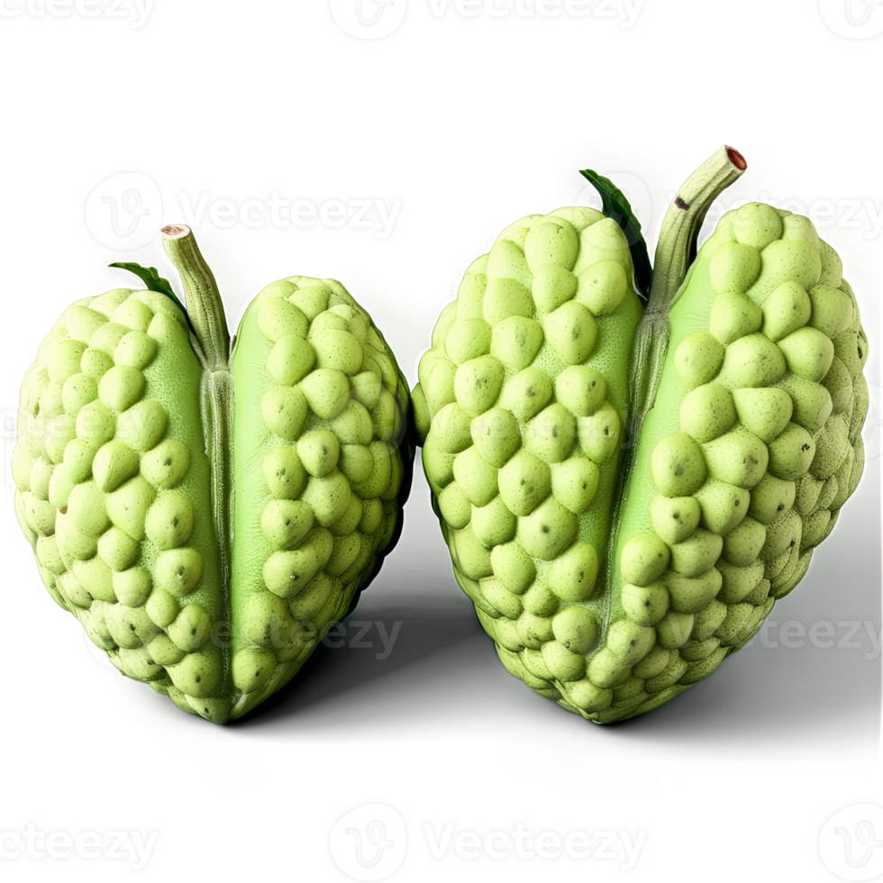 Cherimoyas light green heart shaped with a scaly exterior soft heart outline with gentle highlights png