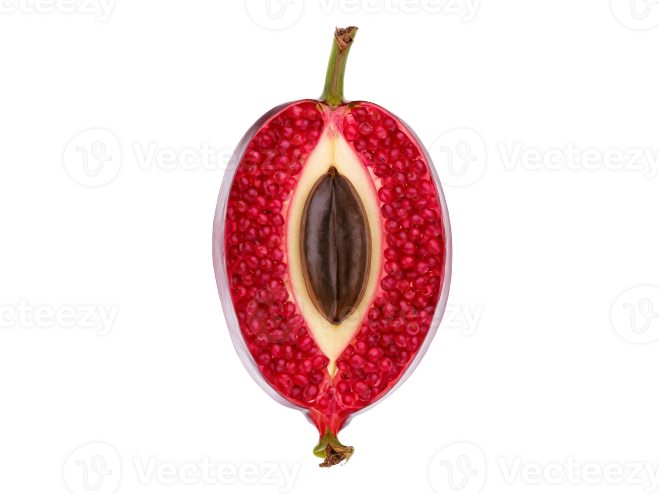 Beaming miracle fruit small oval red berries sliced open to pale flesh levitating seeds soft png