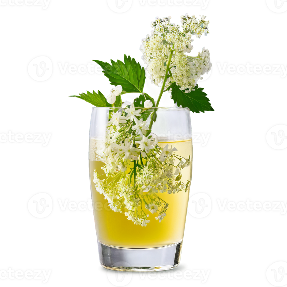 Floral elderflower juice in a Nick Nora glass delicate elderflower blossoms scattered nearby Summer freshness png