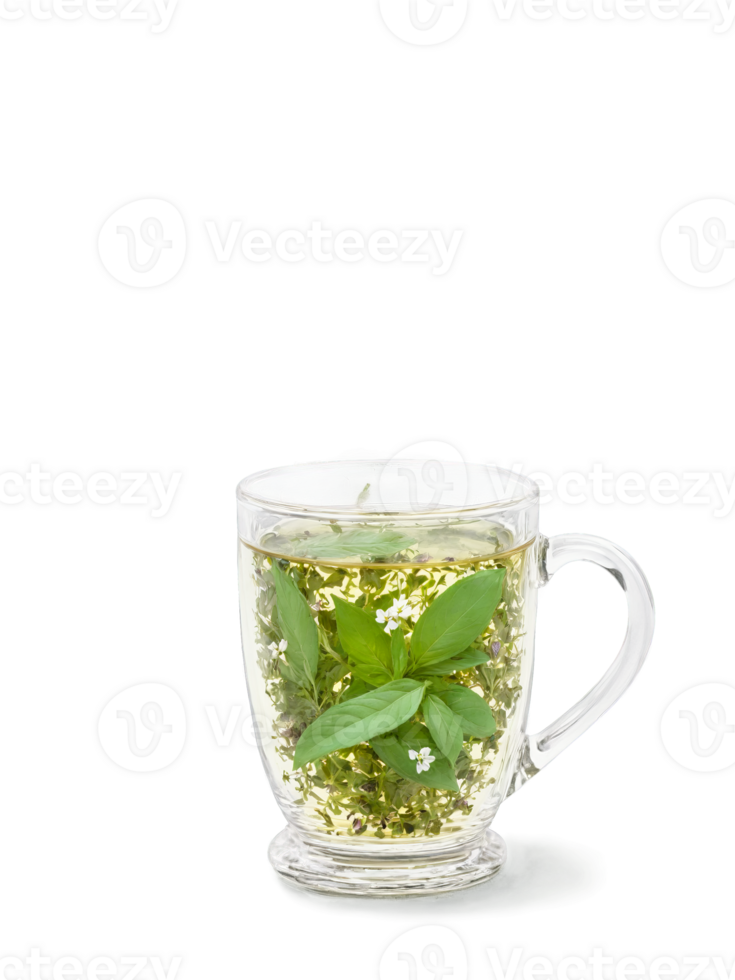 Tulsi holy basil tea glass mug green leaves purple flowers sacred healing herb png