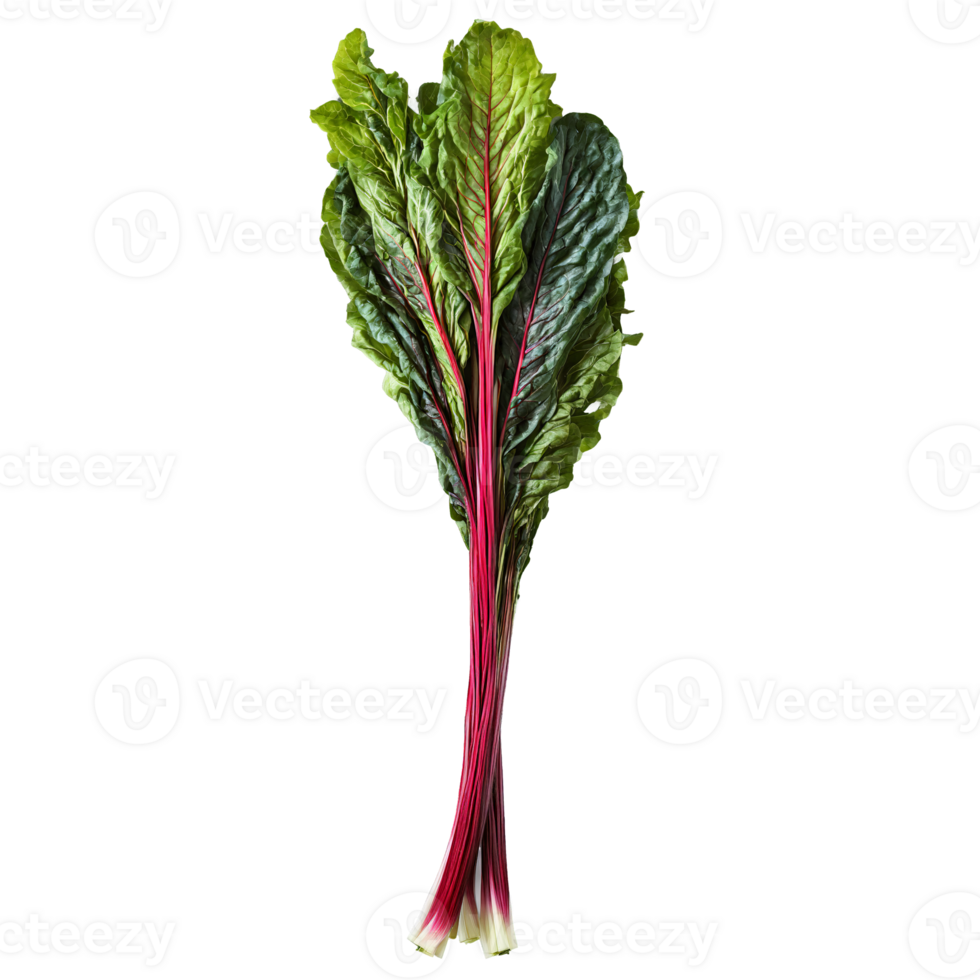 Swiss chard with vibrant stems and leaves in dramatic arrangement Food and culinary concept png
