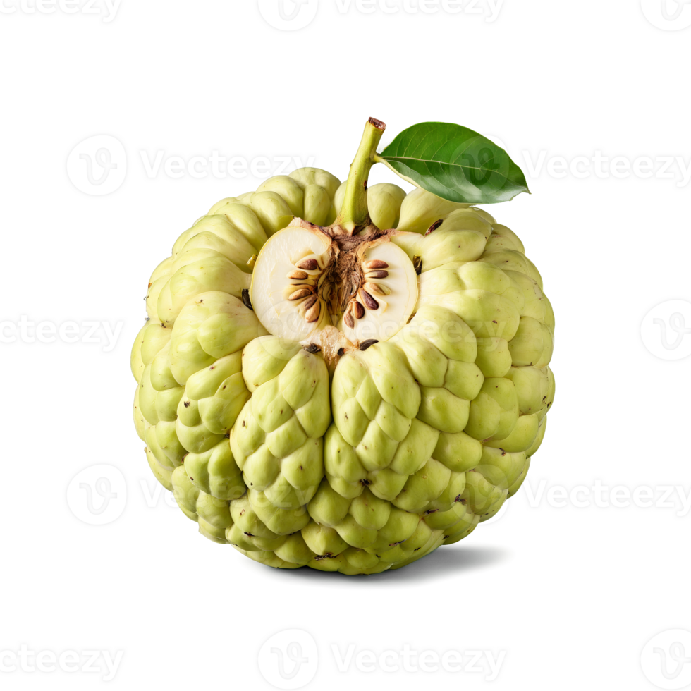 Custard apple round with a lumpy green exterior sliced to reveal its creamy white flesh png