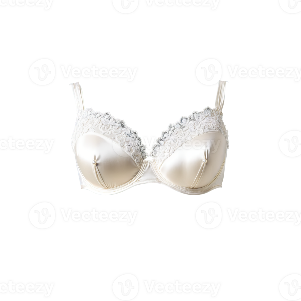 Elegant Ivory Silk Bra An elegant ivory silk bra with delicate embroidery along the cups png