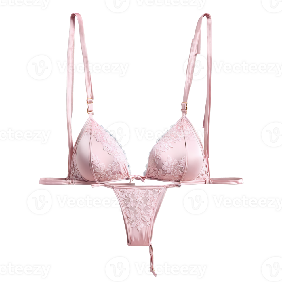 Pink Lace Bikini A pink lace bikini with delicate lace detailing and a satin bow png