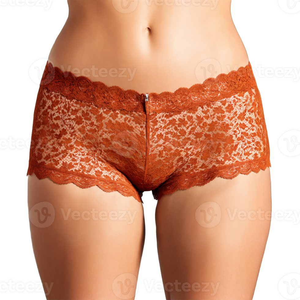 Lace Rust Boyshorts Vintage inspired rust lace boyshorts with a scalloped waistband and a cheeky cut png