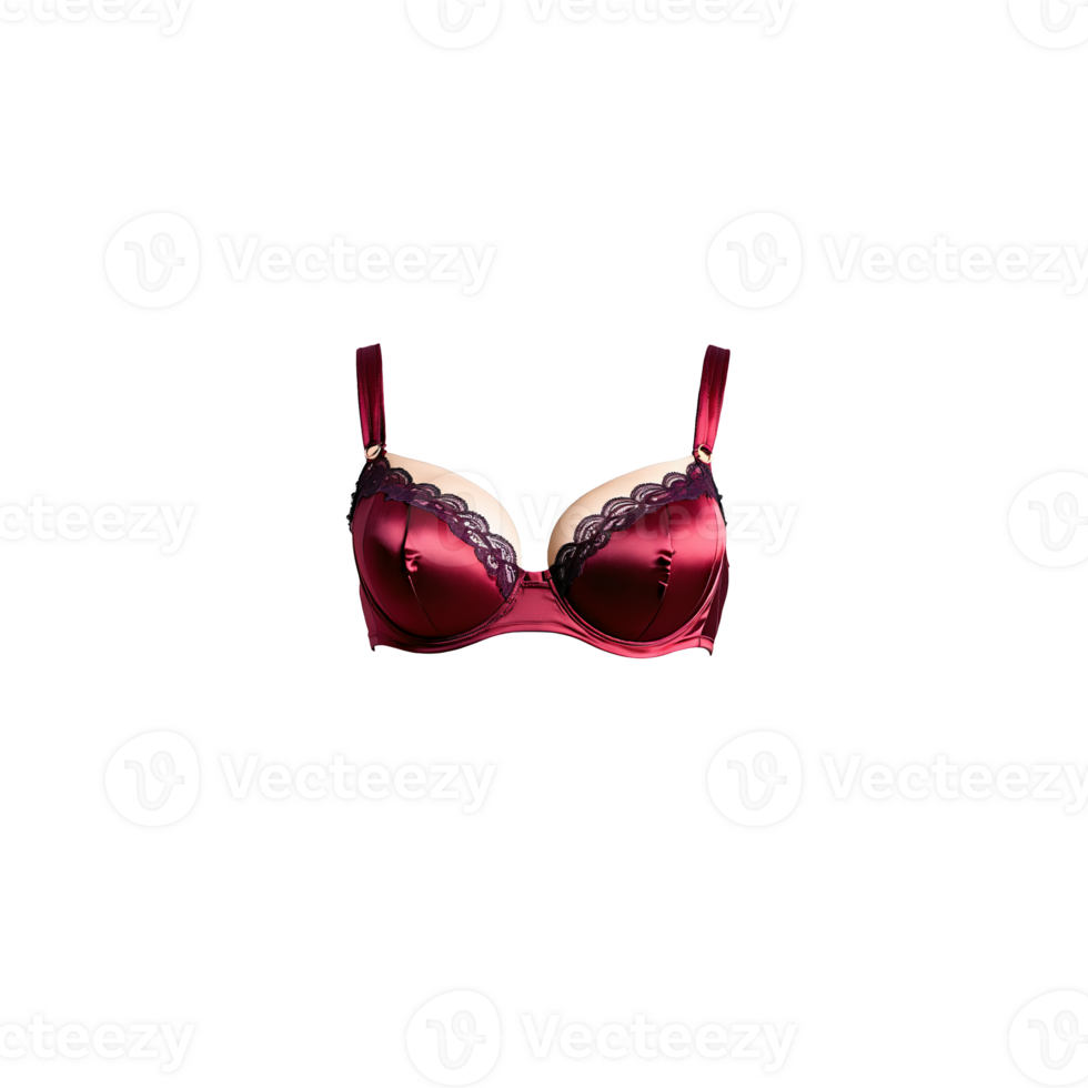 Seductive Burgundy Satin Bra A seductive burgundy satin bra with a rich wine inspired color png