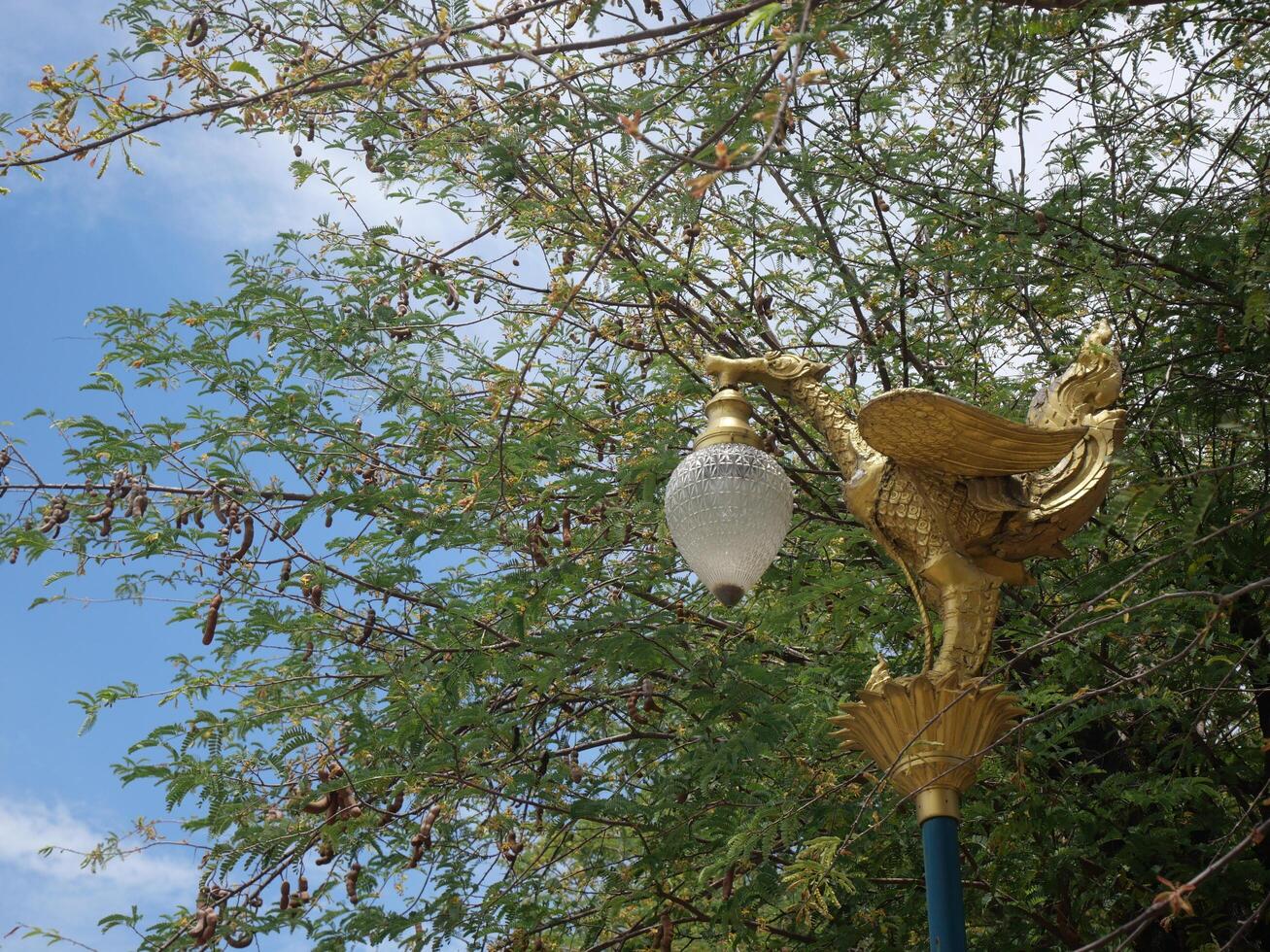 Antique Asian style bird lamp with tree and sky photo