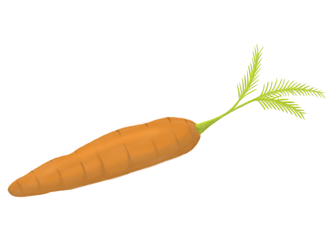 hand drawn illustration of fresh vegetables png