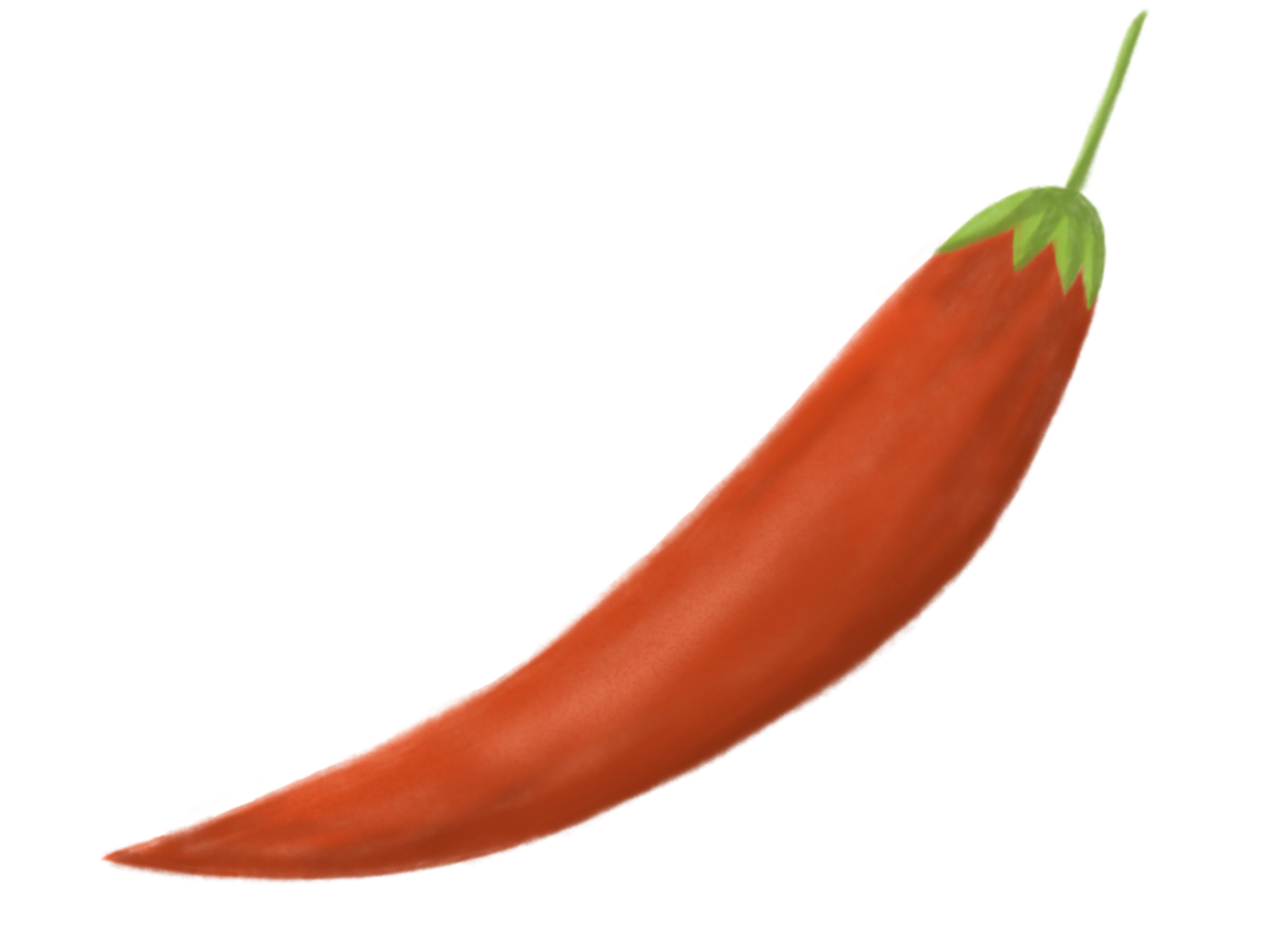 hand drawn illustration of fresh vegetables png