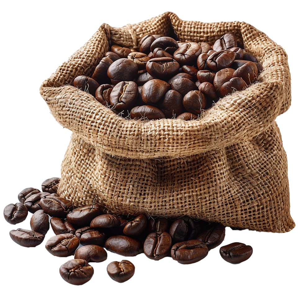 Brown coffee beans in a burlap sack isolated on transparent background png