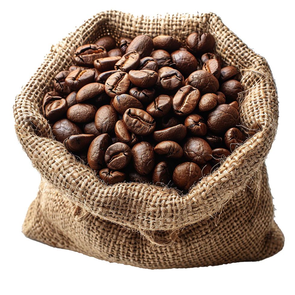 Brown coffee beans in a burlap sack isolated on transparent background png