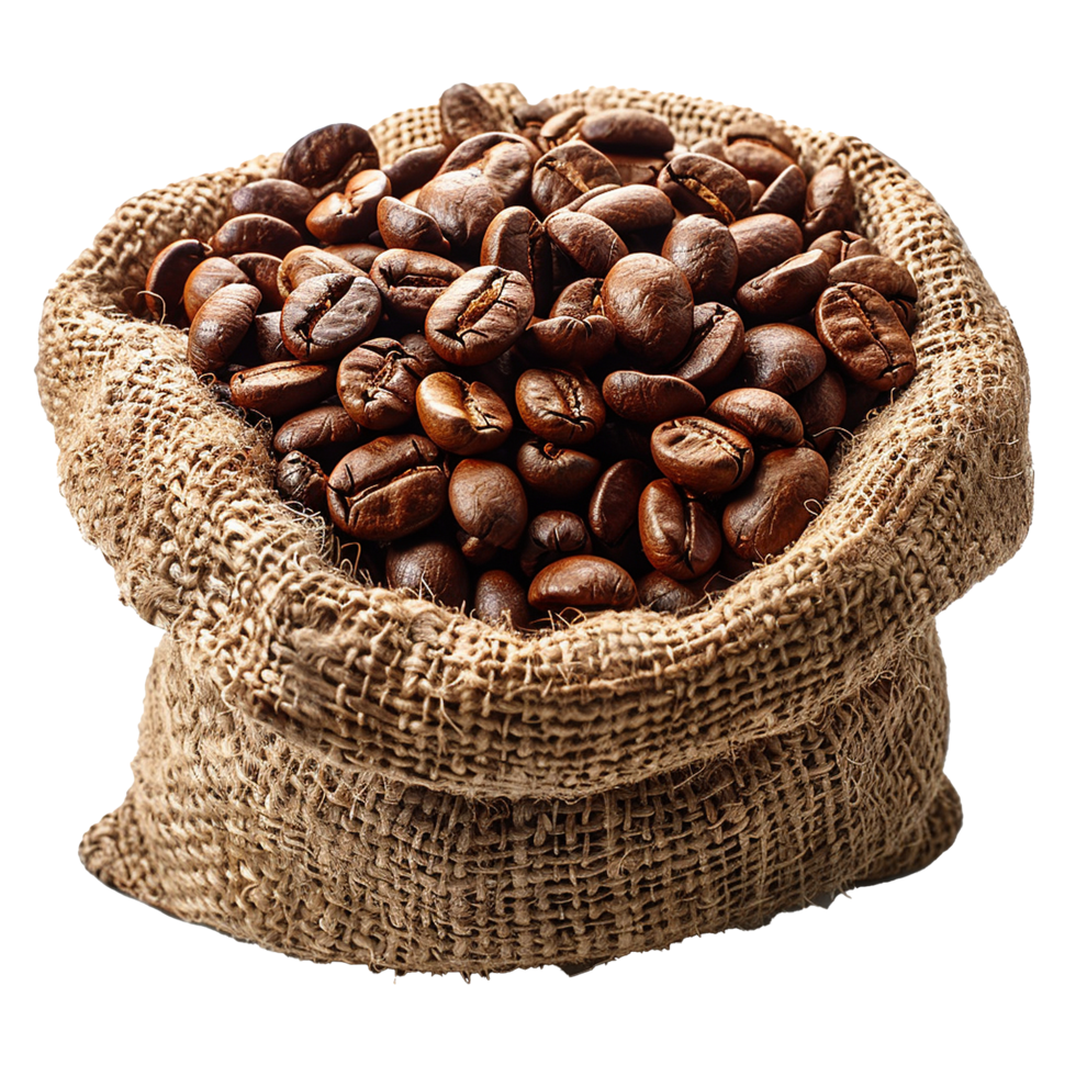 Brown coffee beans in a burlap sack isolated on transparent background png