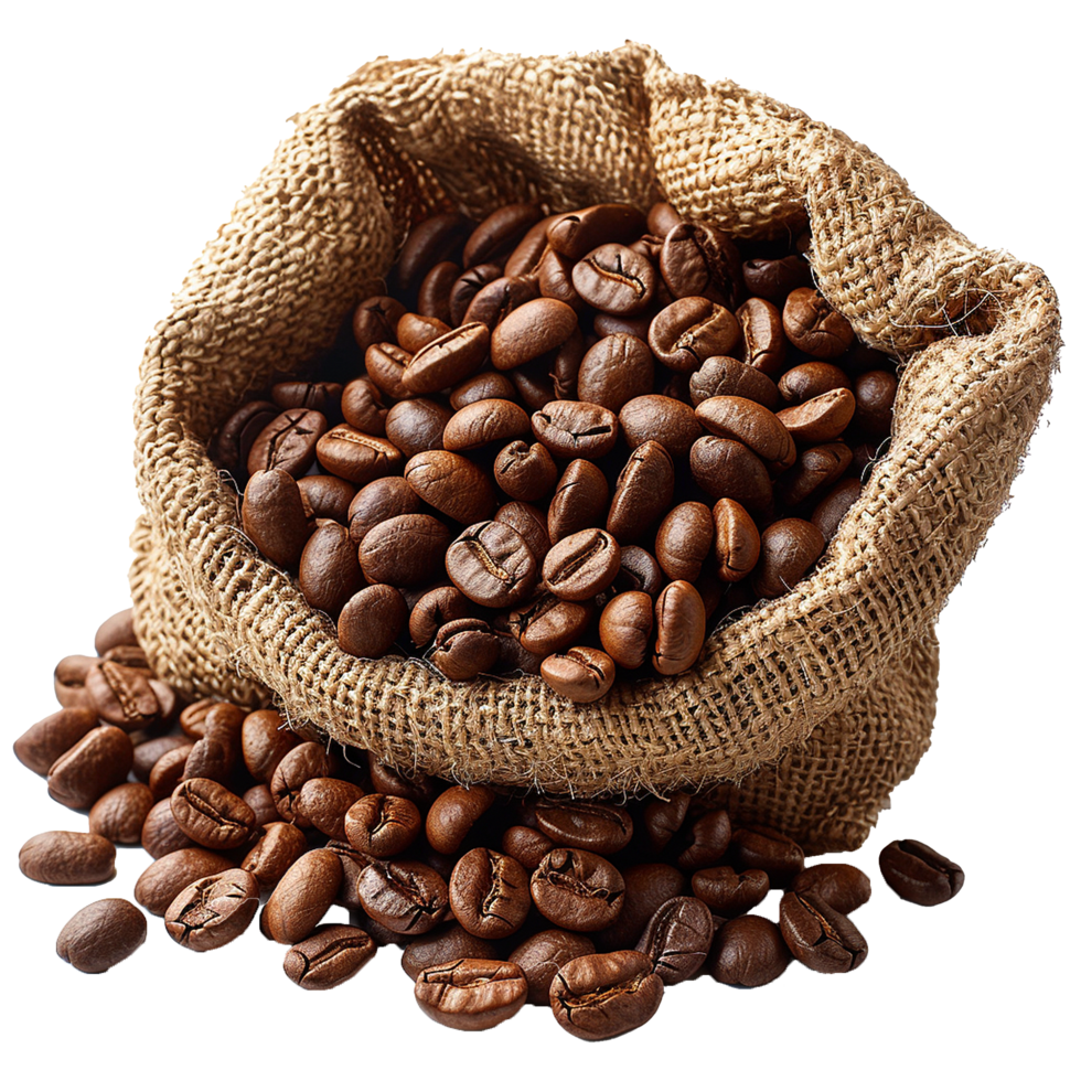 Brown coffee beans in a burlap sack isolated on transparent background png
