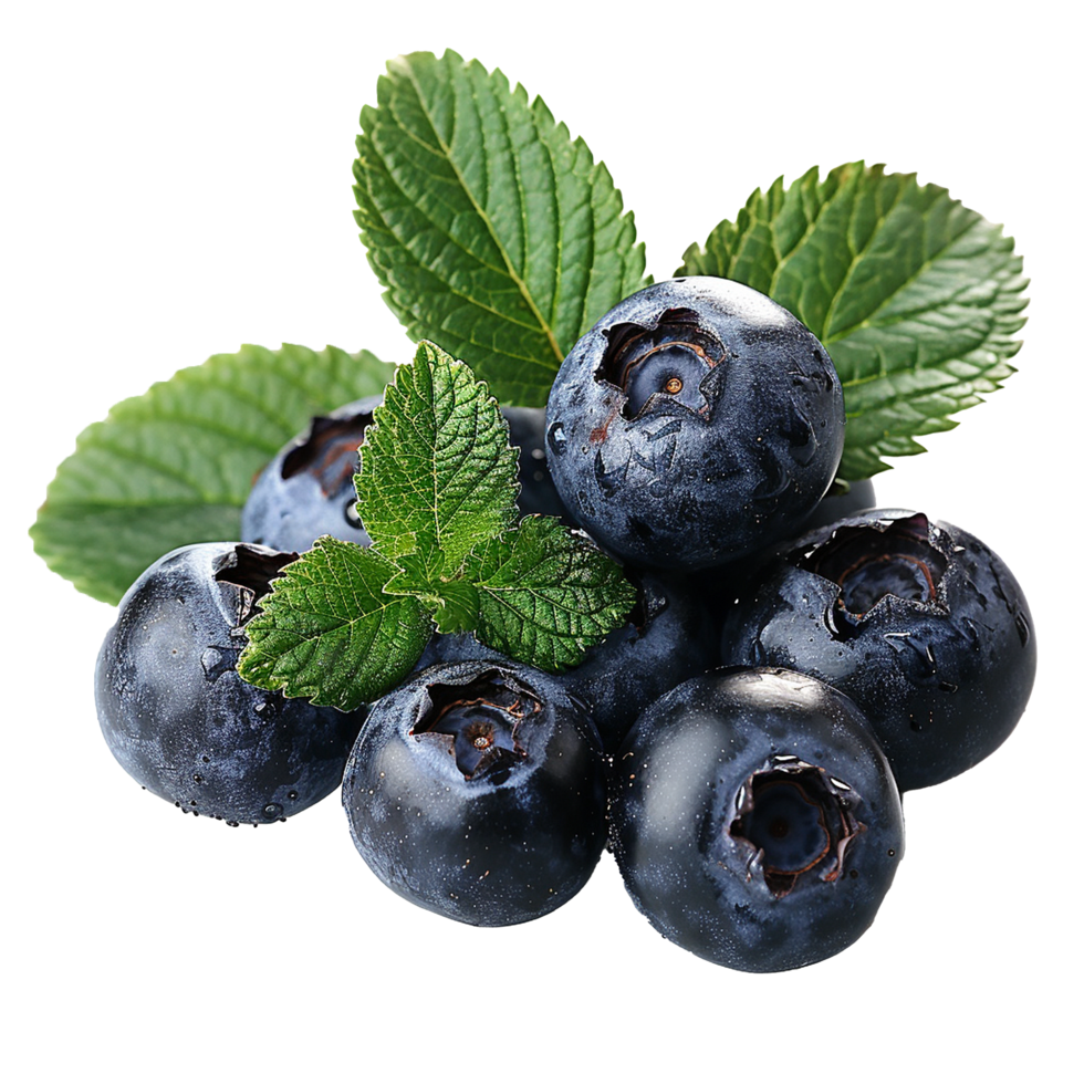 Fresh ripe bilberry and green leaf flying isolated on transparent background png