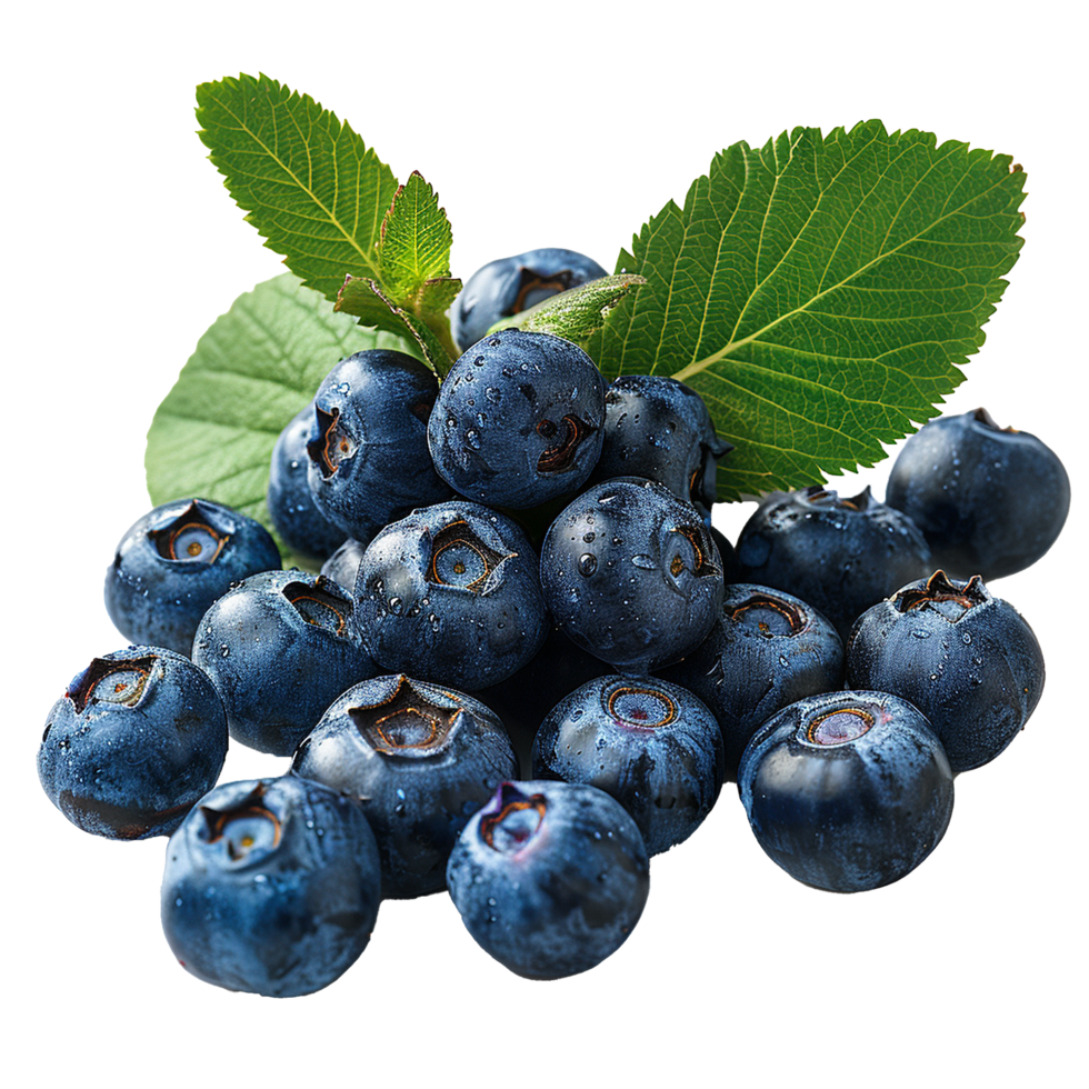 Fresh ripe bilberry and green leaf flying isolated on transparent background png