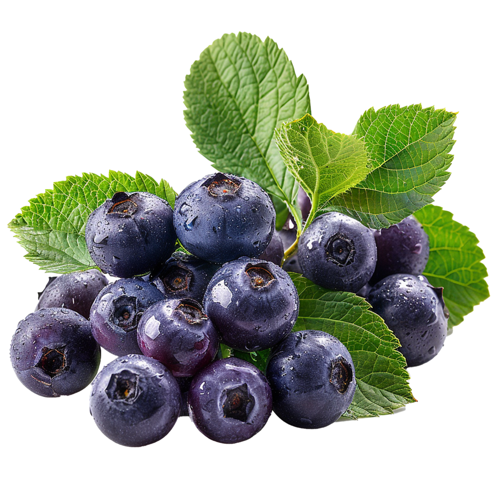Fresh ripe bilberry and green leaf flying isolated on transparent background png
