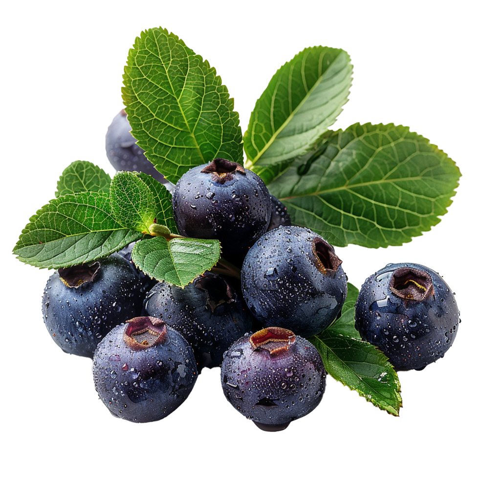 Fresh ripe bilberry and green leaf flying isolated on transparent background png